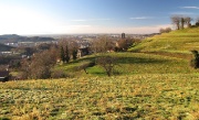 04 San Mauro, panorama sulle pianure...